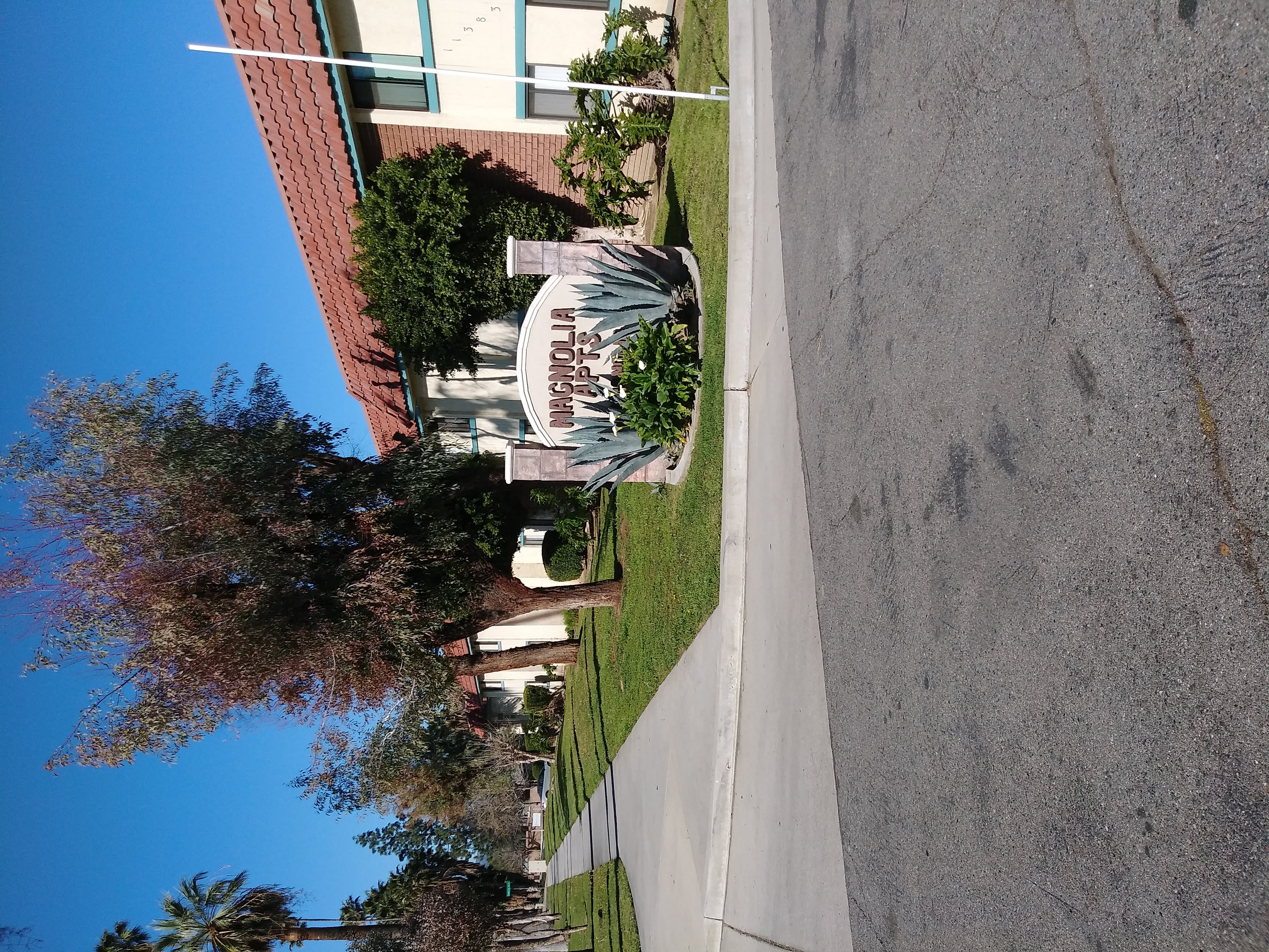 Magnolia – photo 2