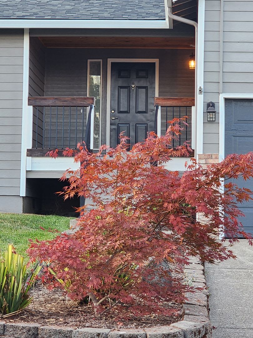 Lovely Remodeled Single Family Home in Lafayette – photo 1
