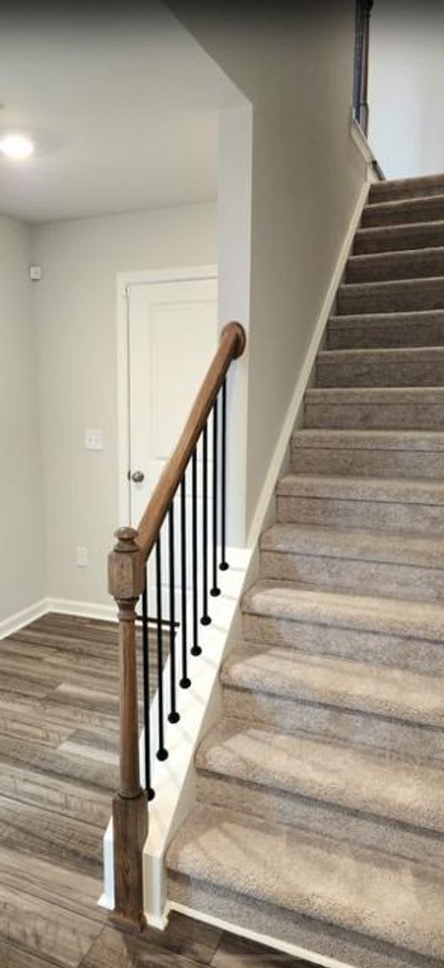 171 Garden Vine Trail – photo 2
