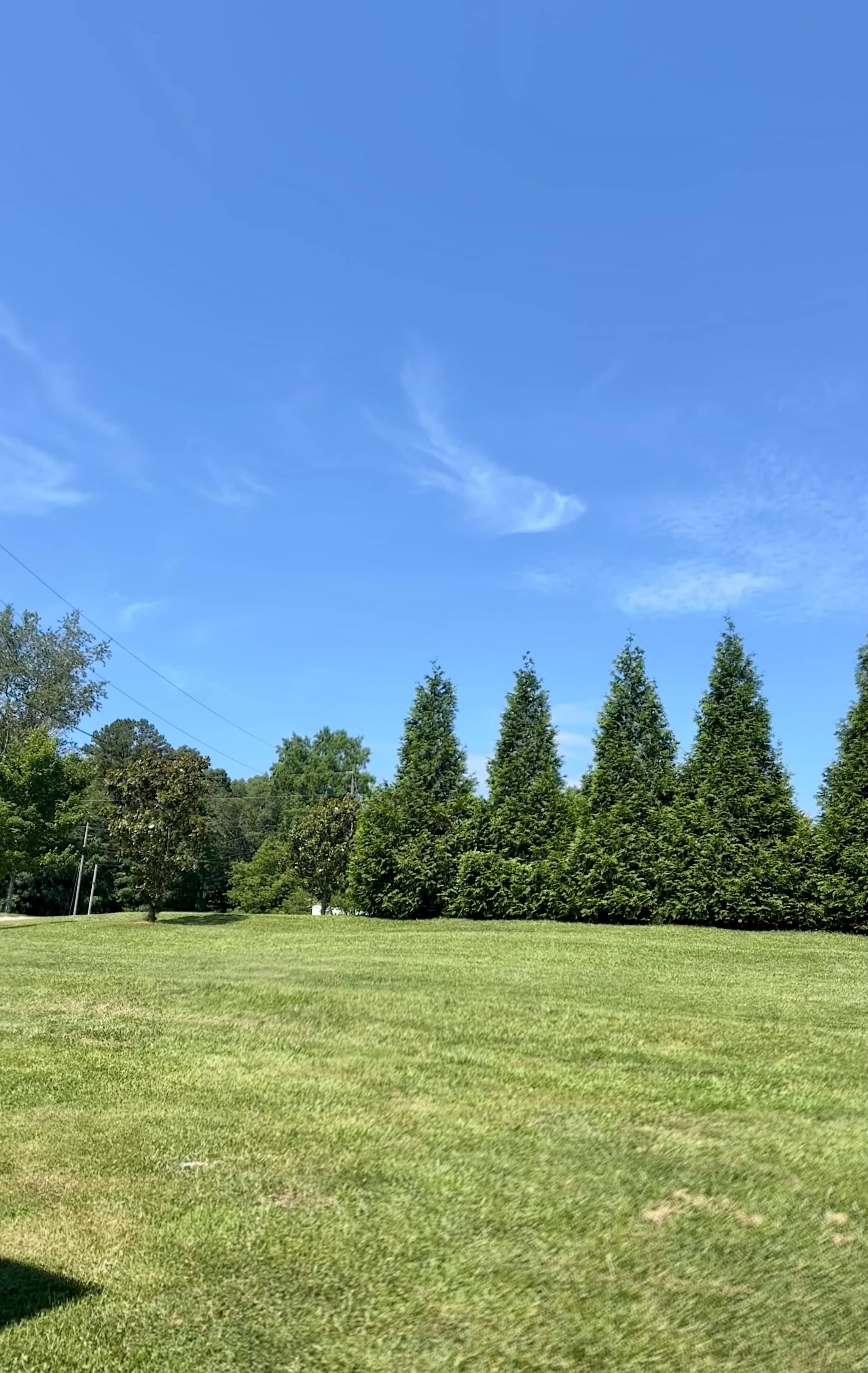 112 Riggins Bridge Rd – photo 4