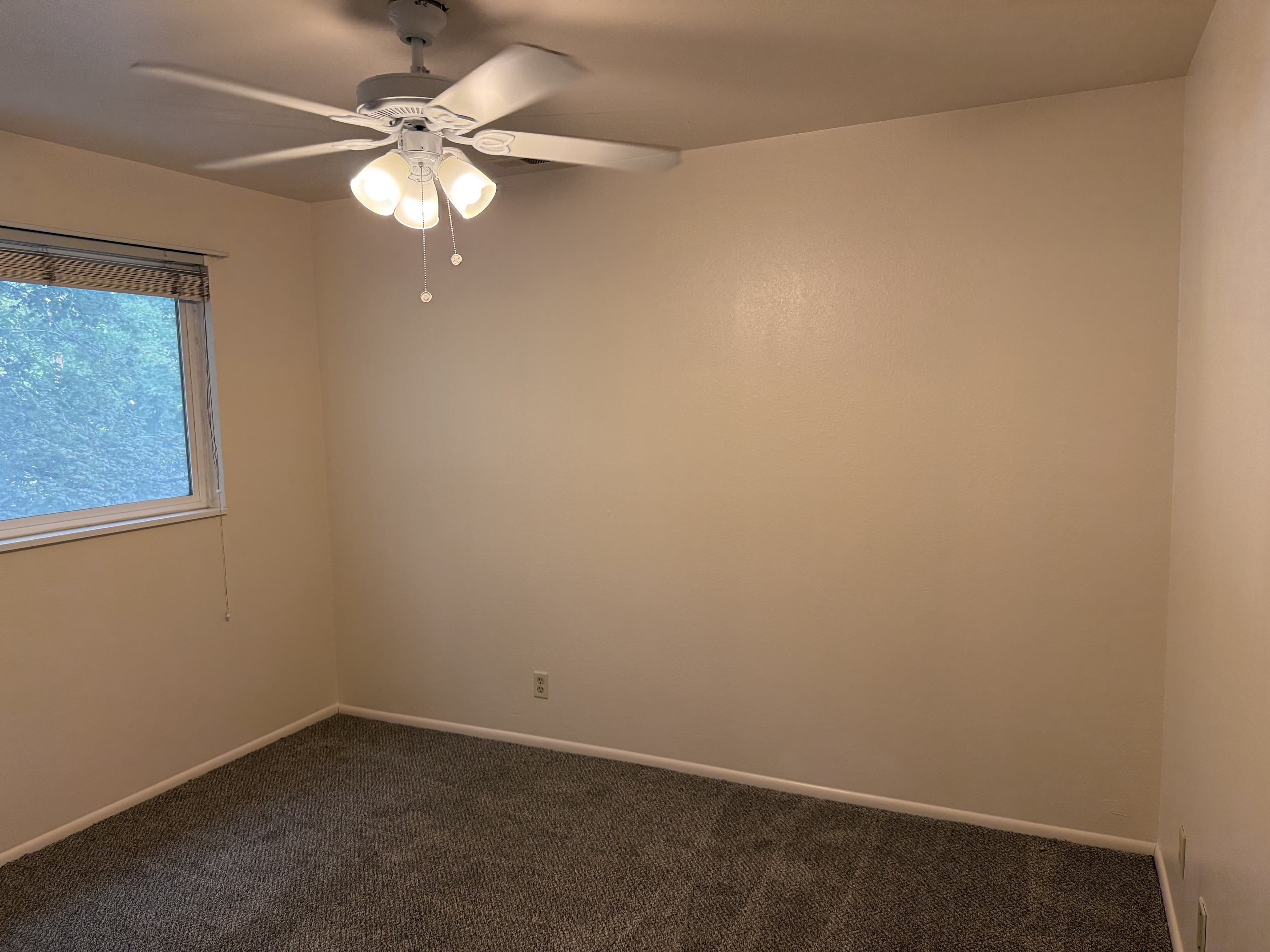 269 E. Hill Avenue #4 – photo 5
