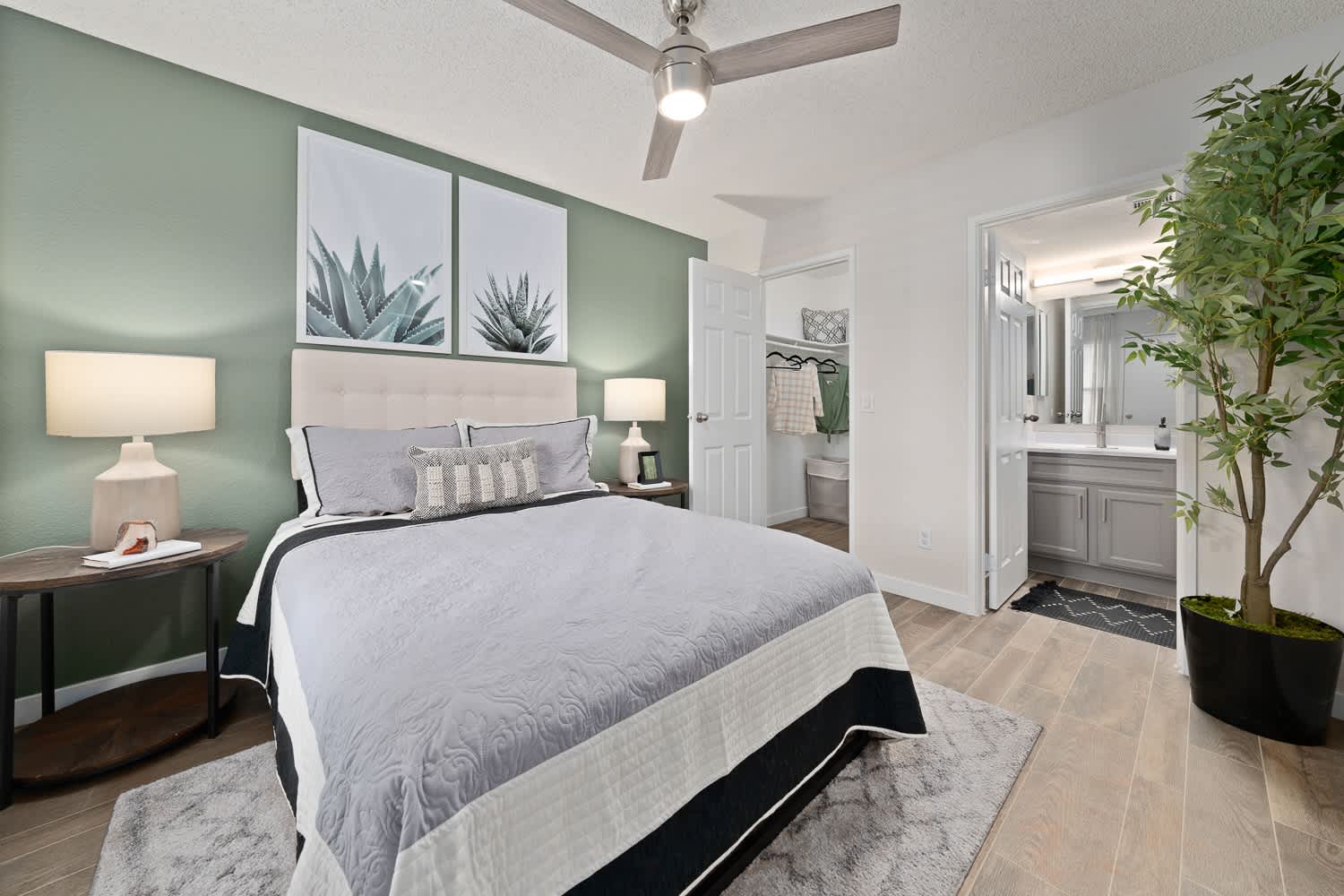 Solas Glendale – photo 5