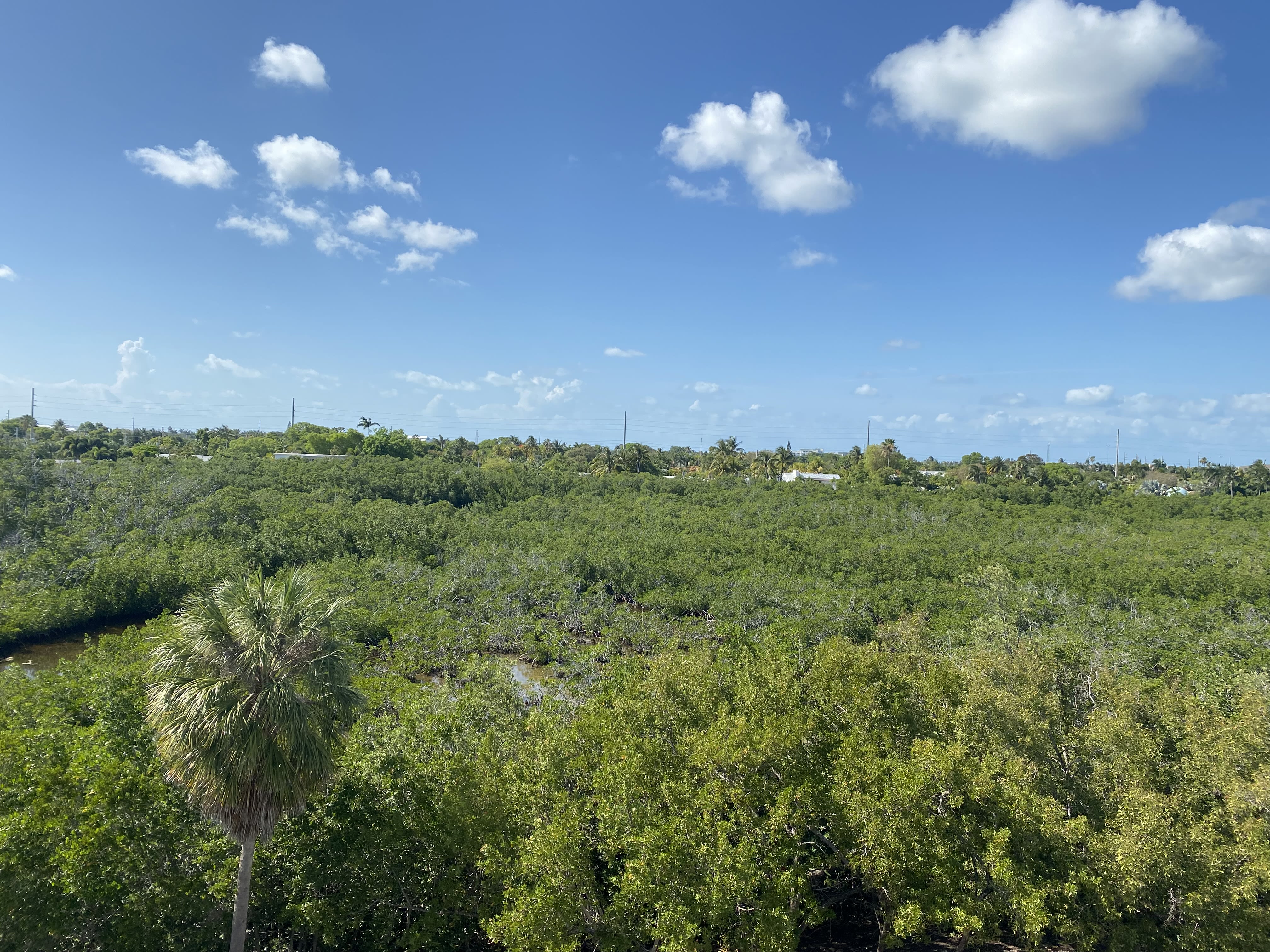 3655 Seaside Drive – photo 3