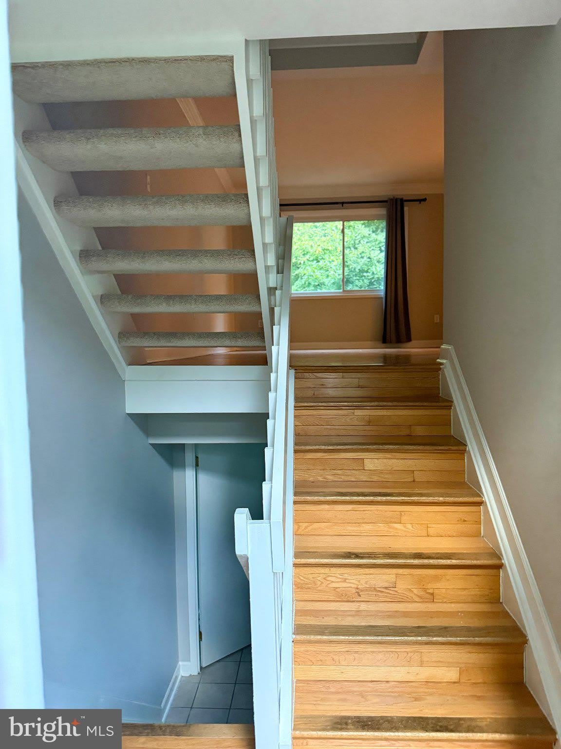 2916 CANTANIA Place – photo 2