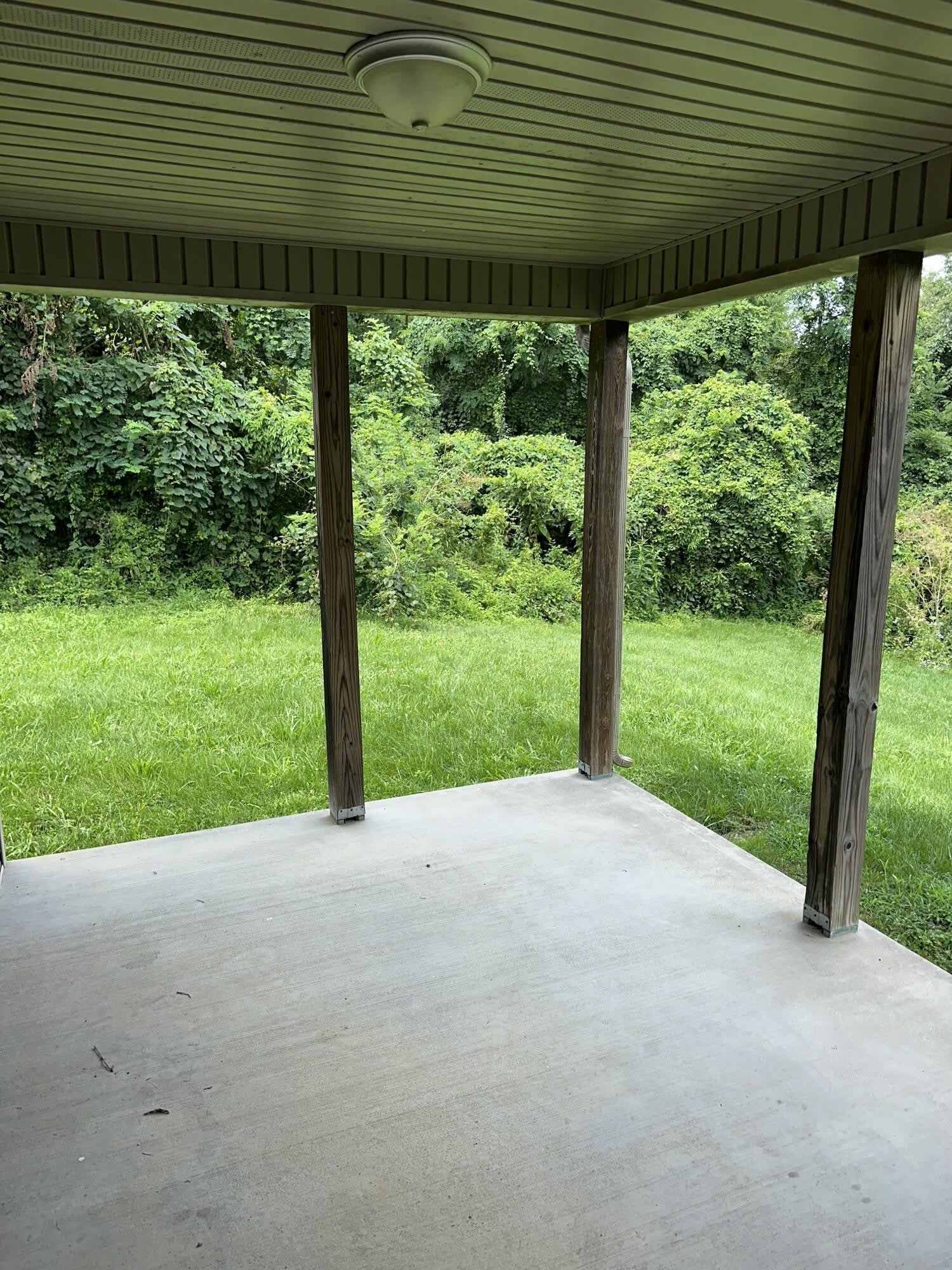 111 Springdale Avenue – photo 3