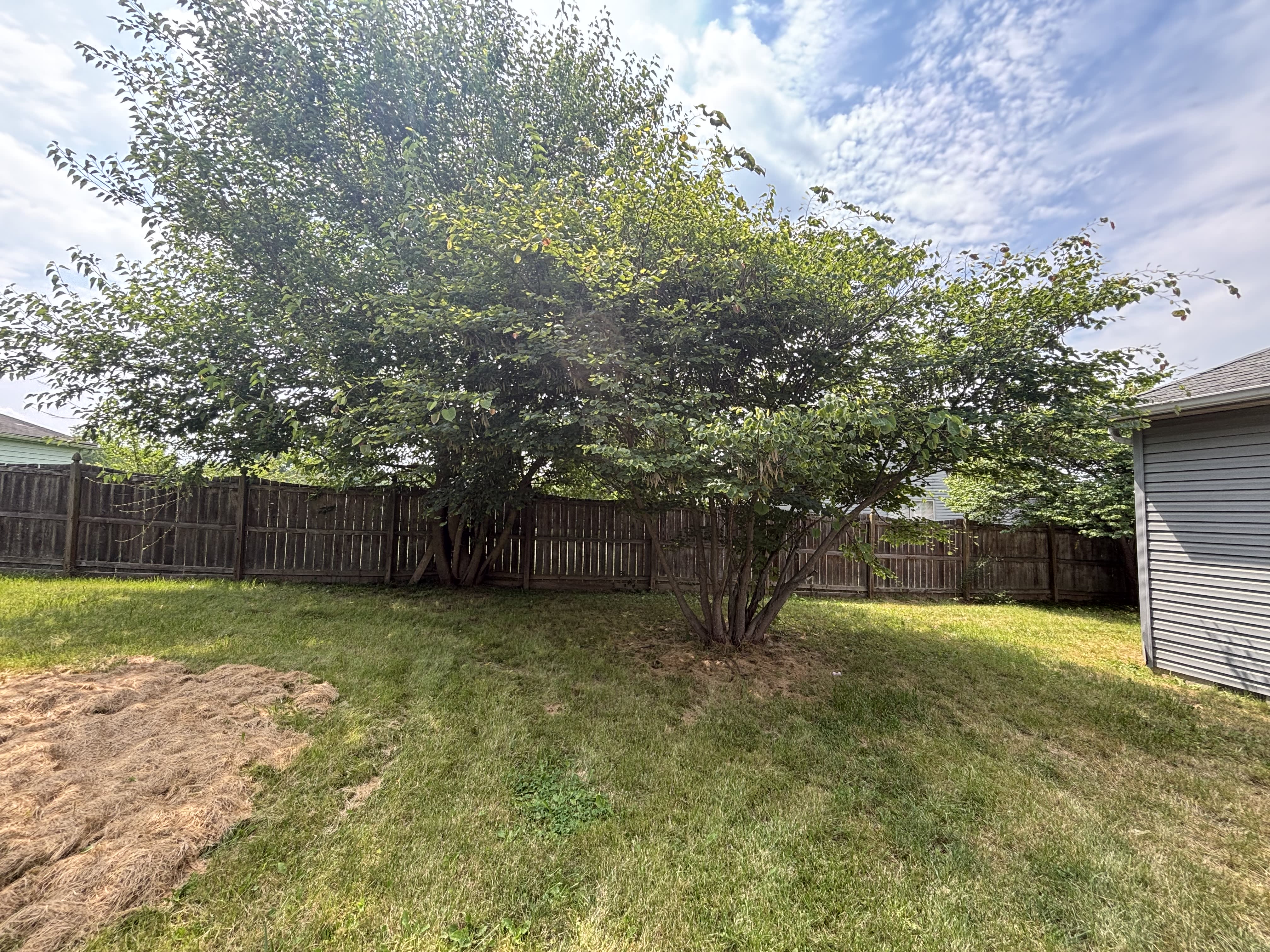 950 Deer Field Dr – photo 5