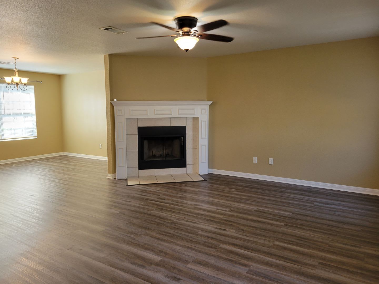 SPACIOUS 4bd/2ba house w in KIlleen with storage shed! – photo 4
