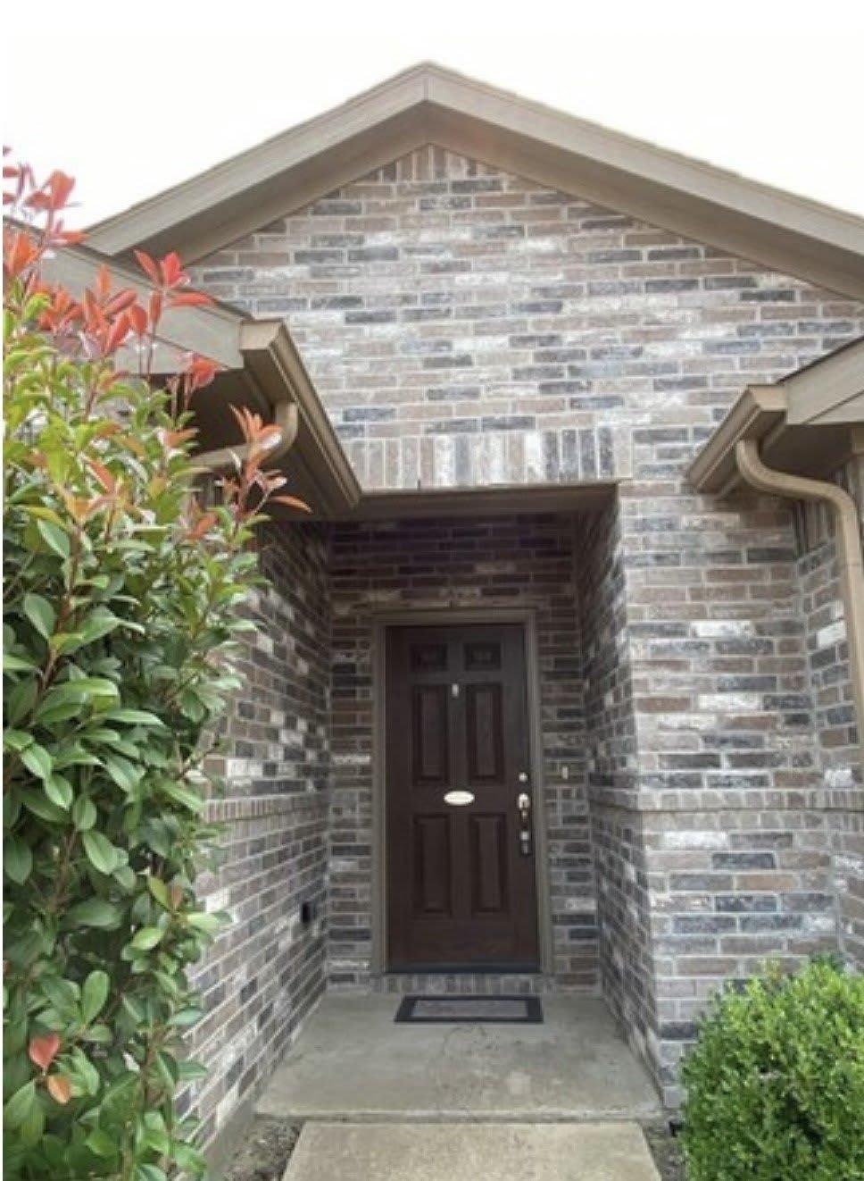 214 Timber Drive – photo 2
