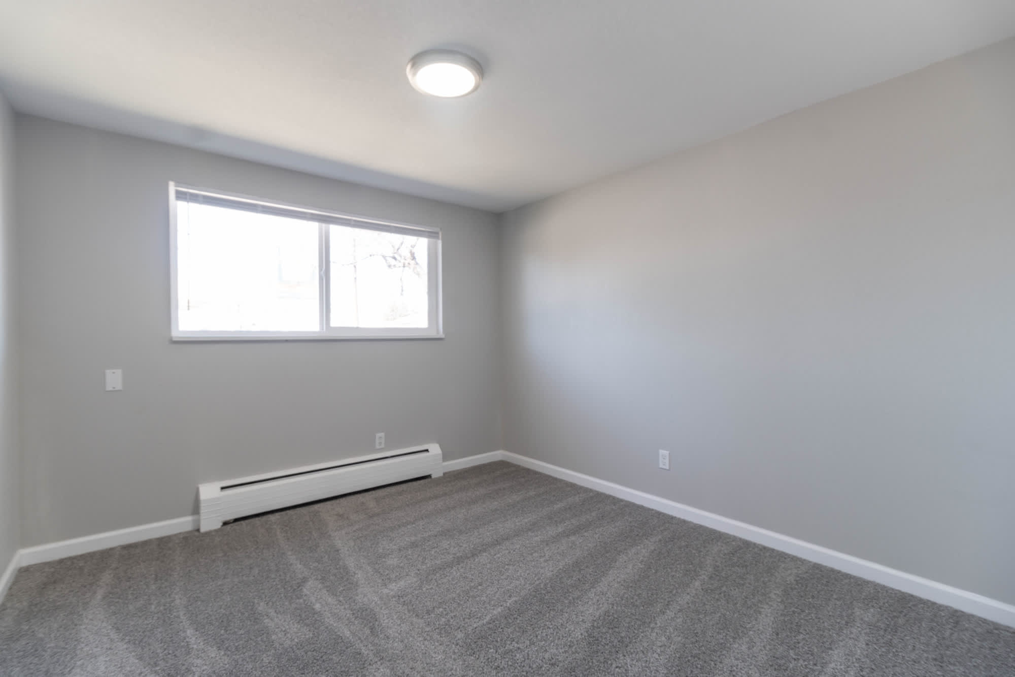 8780 Dawson Street – photo 4