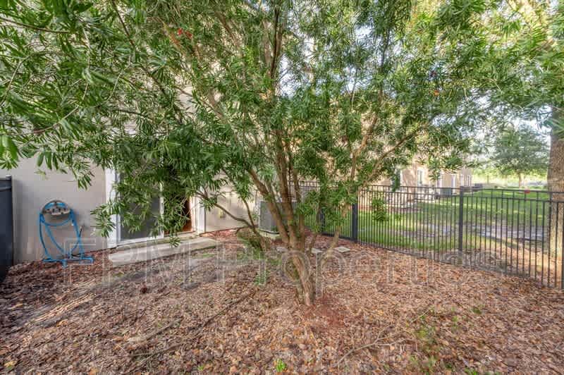 807 Scrub Jay Drive – photo 4