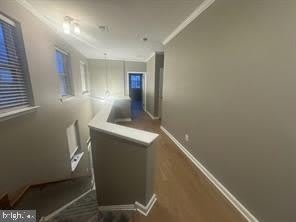 13884 GREENDALE Drive – photo 4
