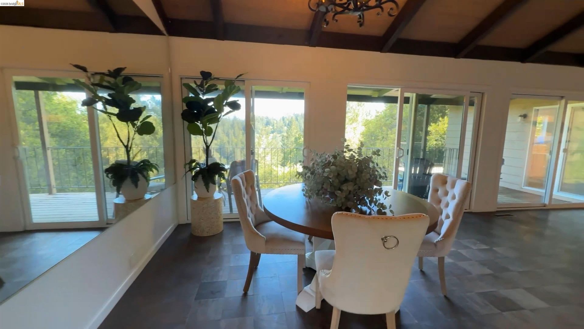 Escape To The Forest Without Leaving Sonoma County – photo 3
