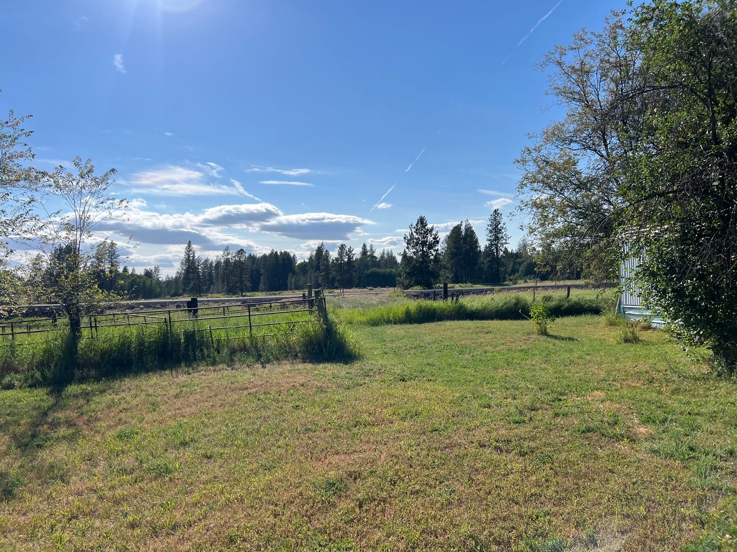 Peaceful 55+ Living – Spacious 3 Bed, 2 Bath Home in Cheney – photo 4