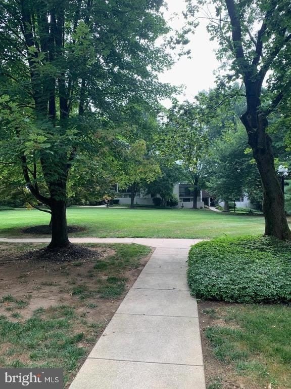 20 DOUGHERTY BOULEVARD – photo 4