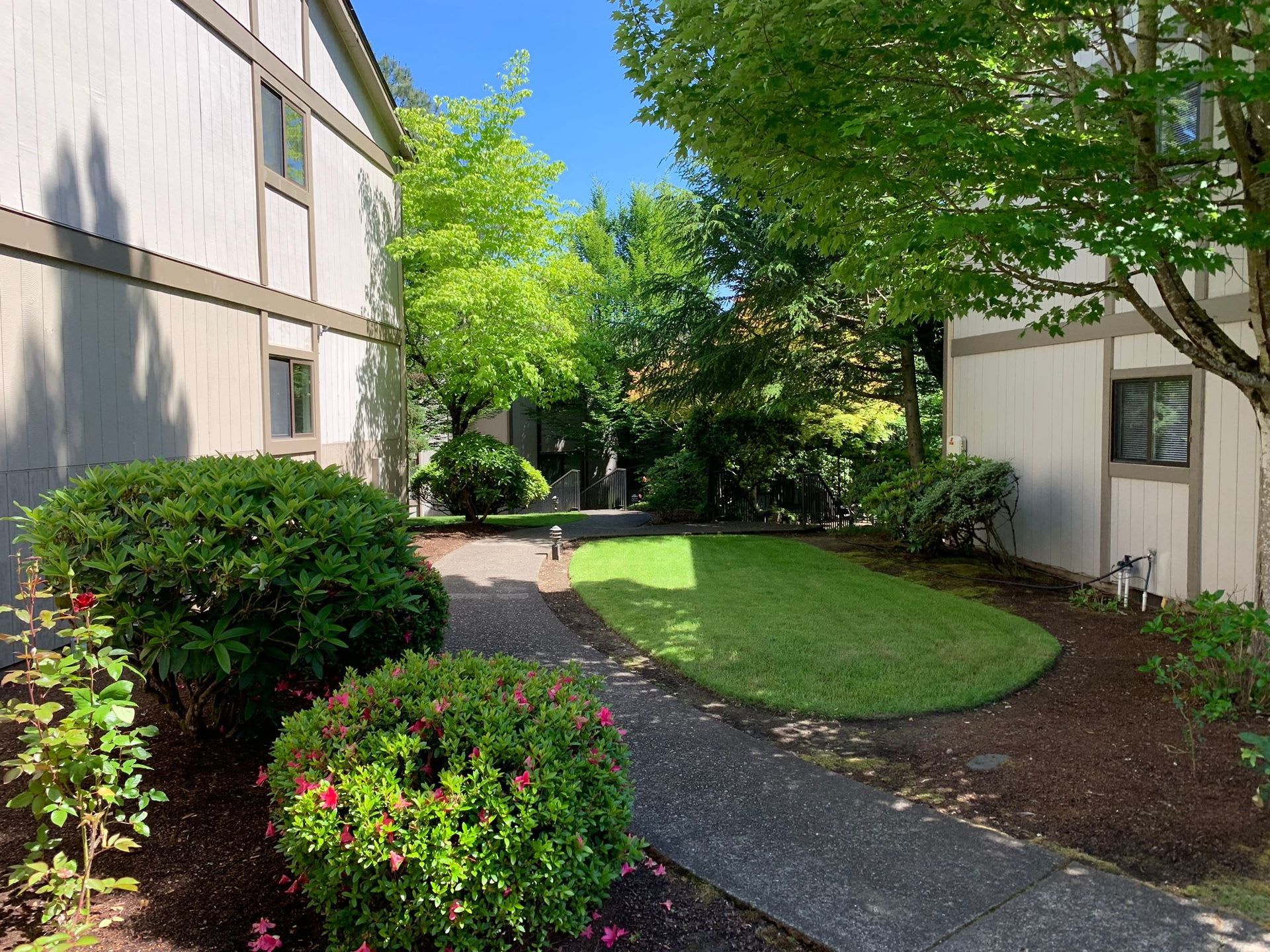 Hilltop Apartments – photo 4