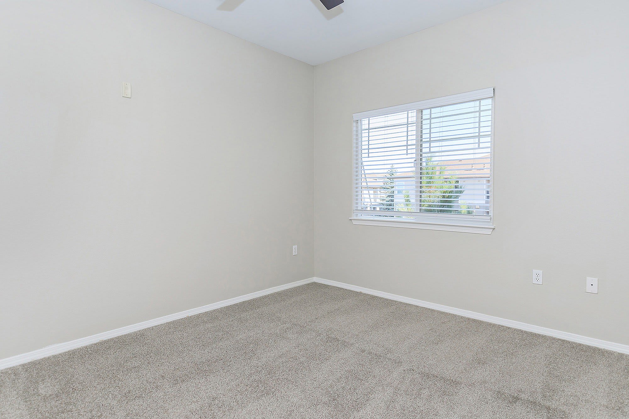 Creekside At Palmer Park Apartments – photo 5