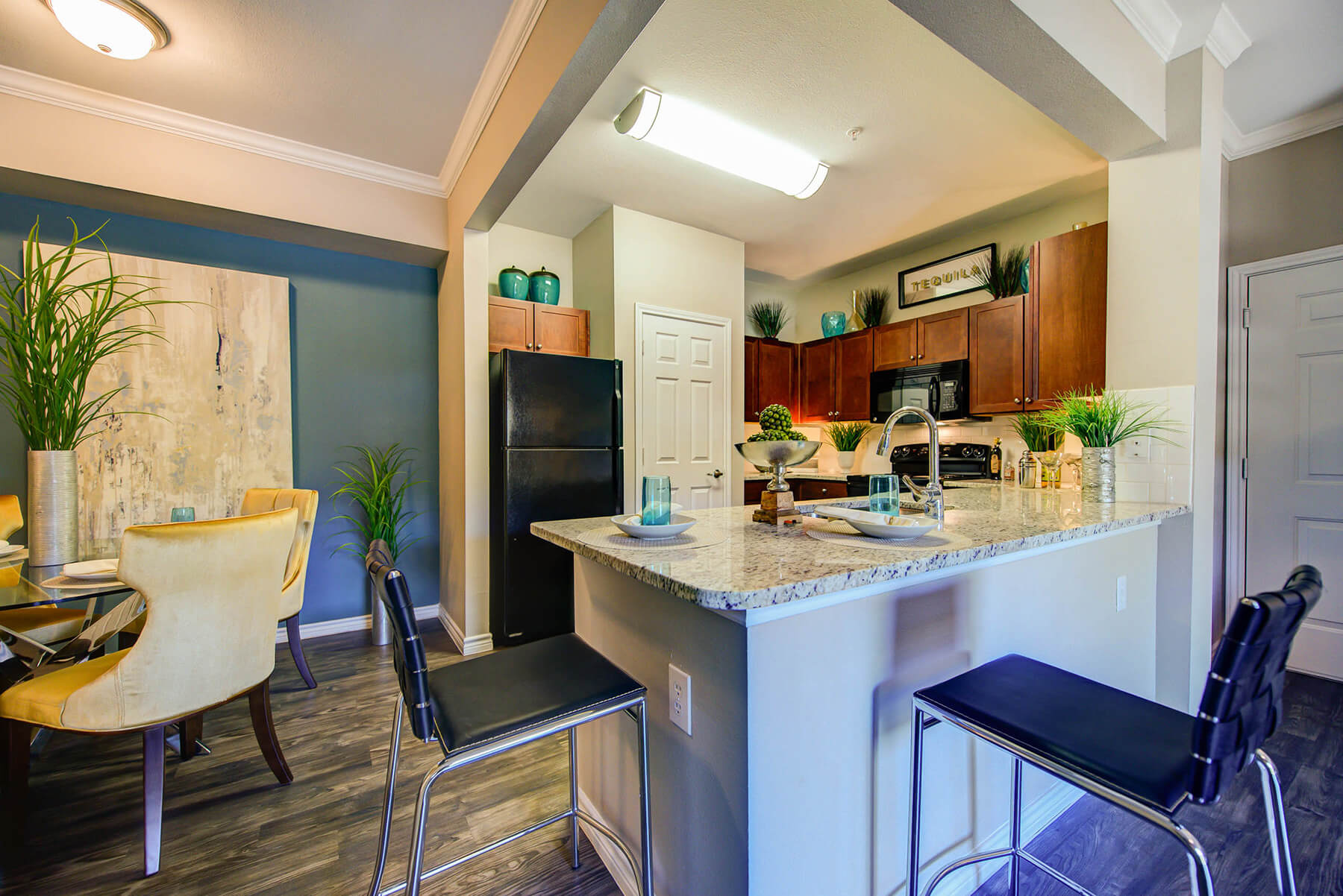 Callista Hill Country Apartments – photo 5