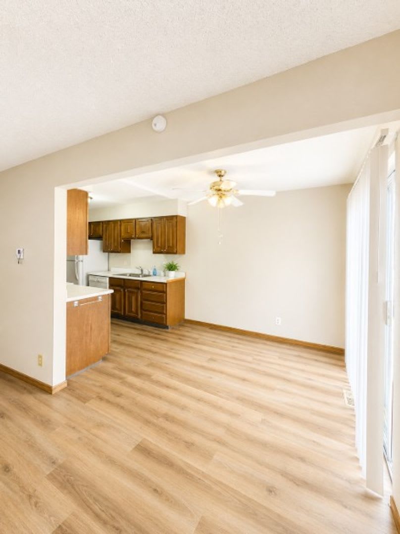 Orangewood – photo 5