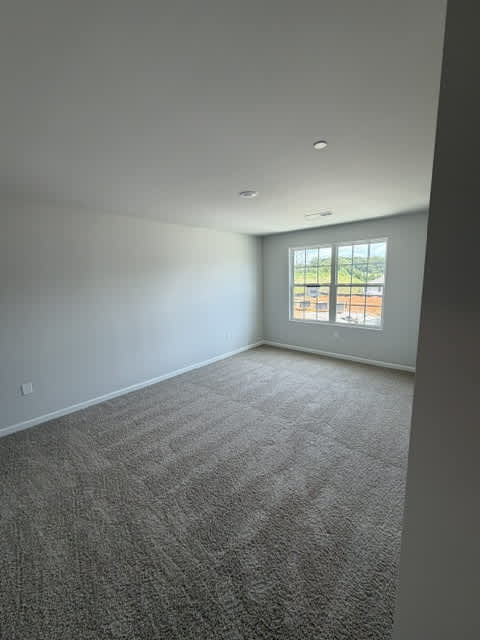 282 Dale Mires Lane – photo 5