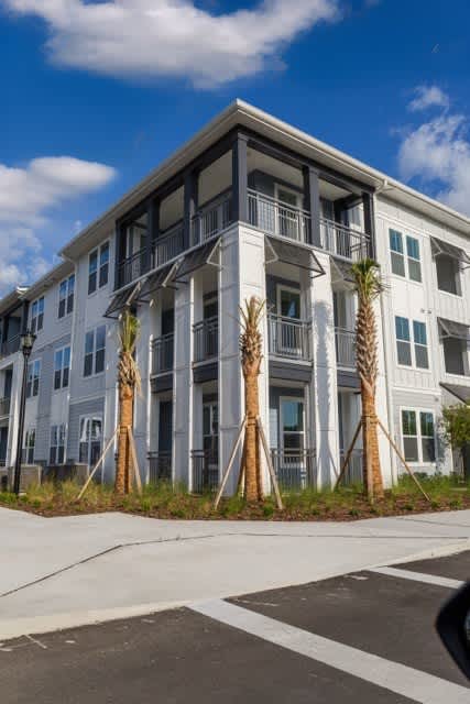Madison Palms – photo 3