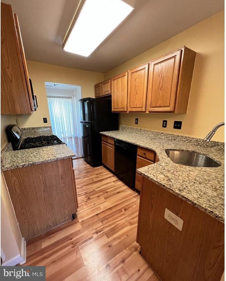 3303 Sterling Road – photo 5