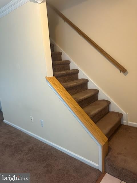 3646 NANCY WARD Circle – photo 3