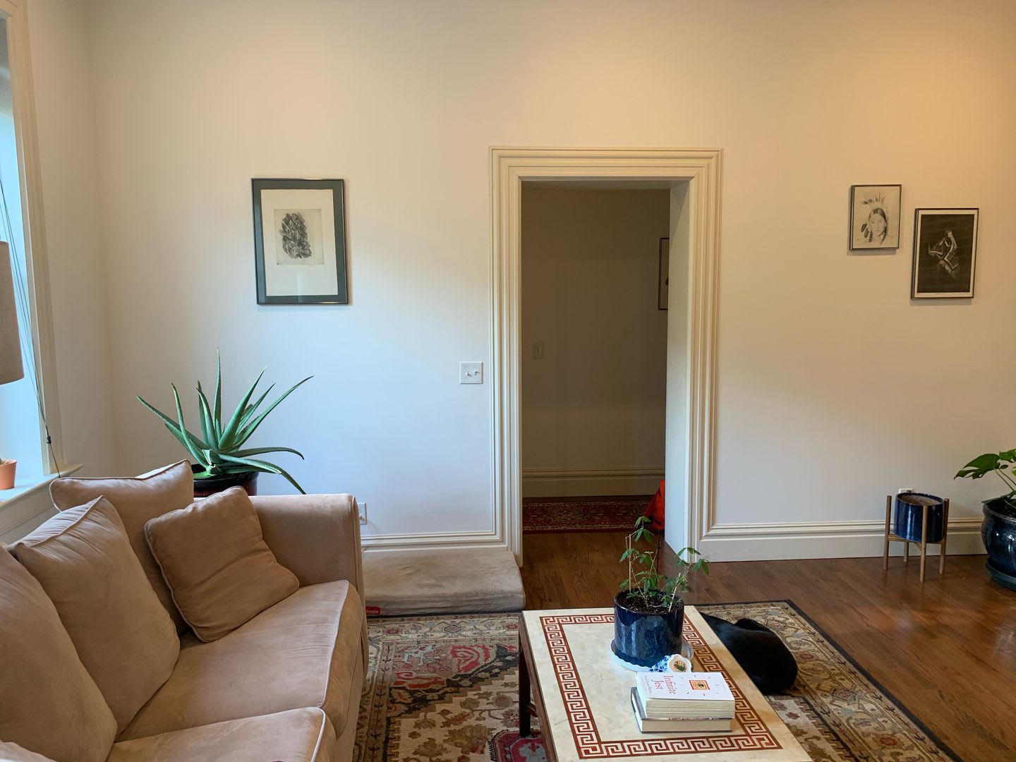 Recently Renovated Historic Mansion in Benton Park – photo 4