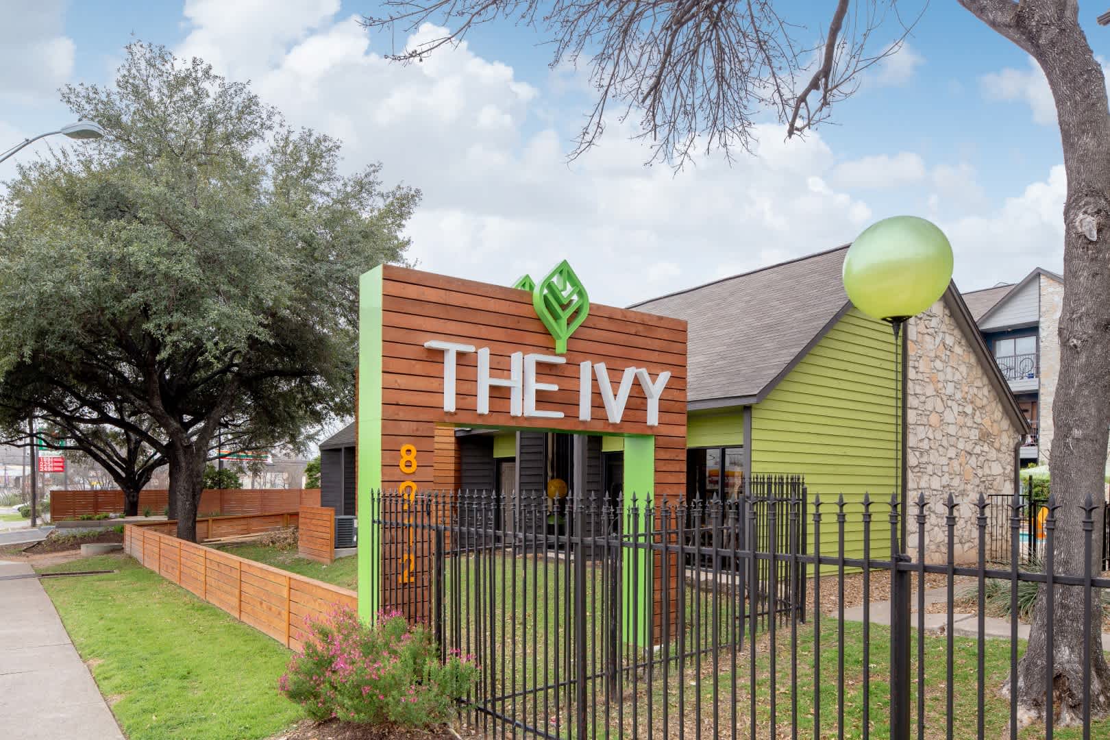 The Ivy – photo 2