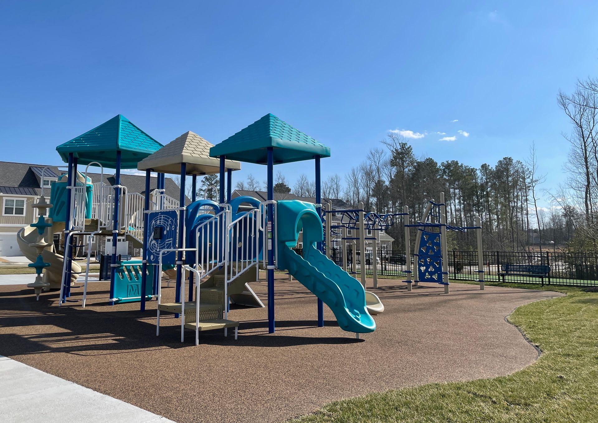 Cardinal – photo 2