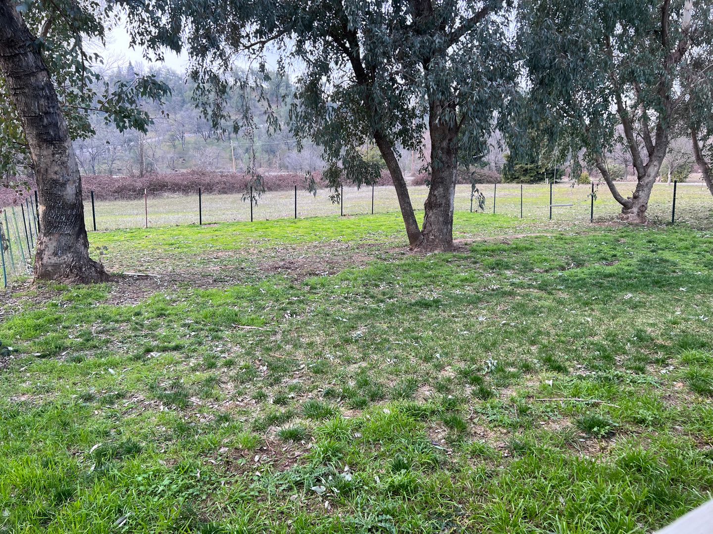 Country Setting 4 Bedroom 2 Bathroom Home – photo 2