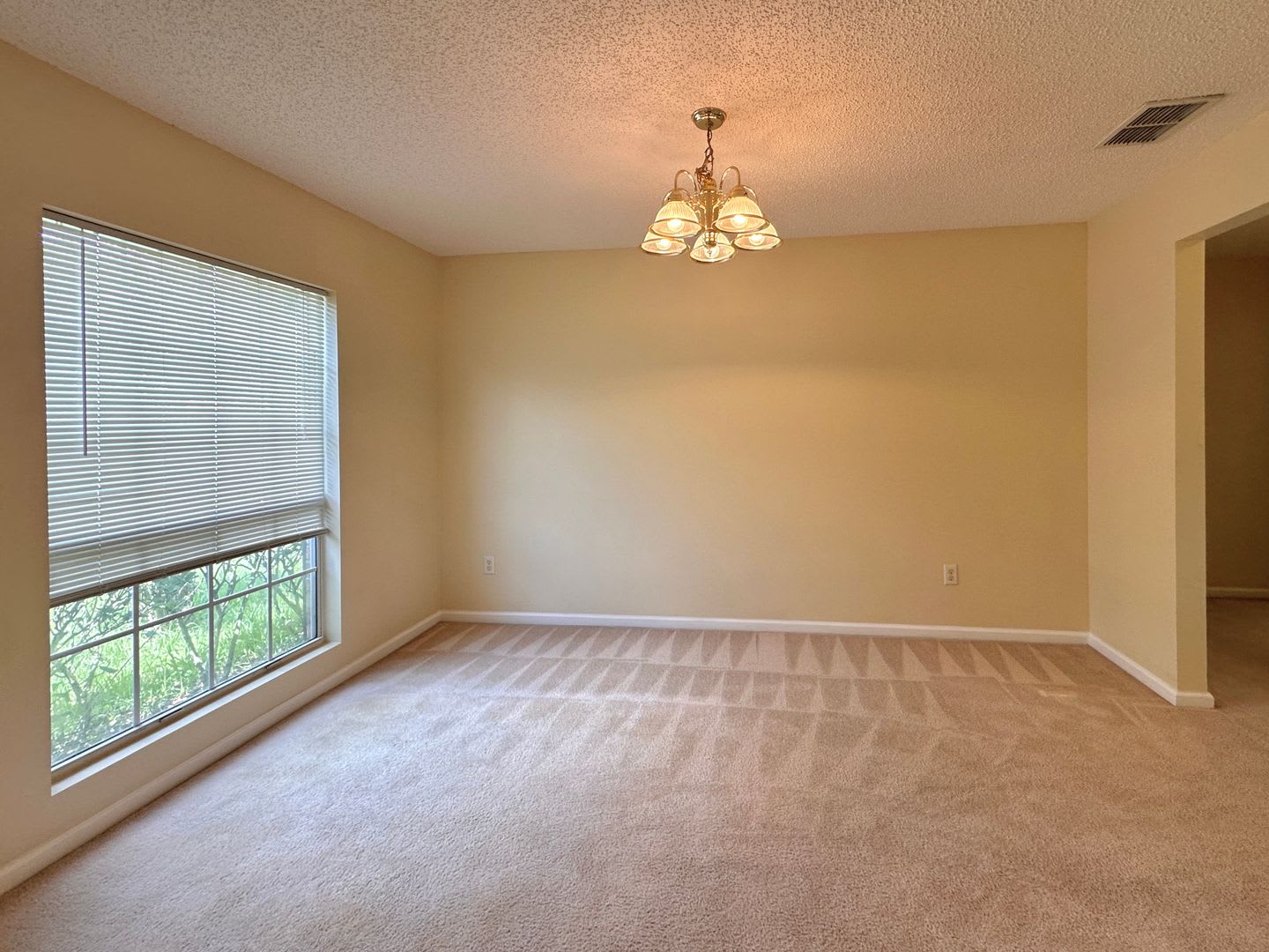 4 Bedroom in Indian Trails! – photo 5