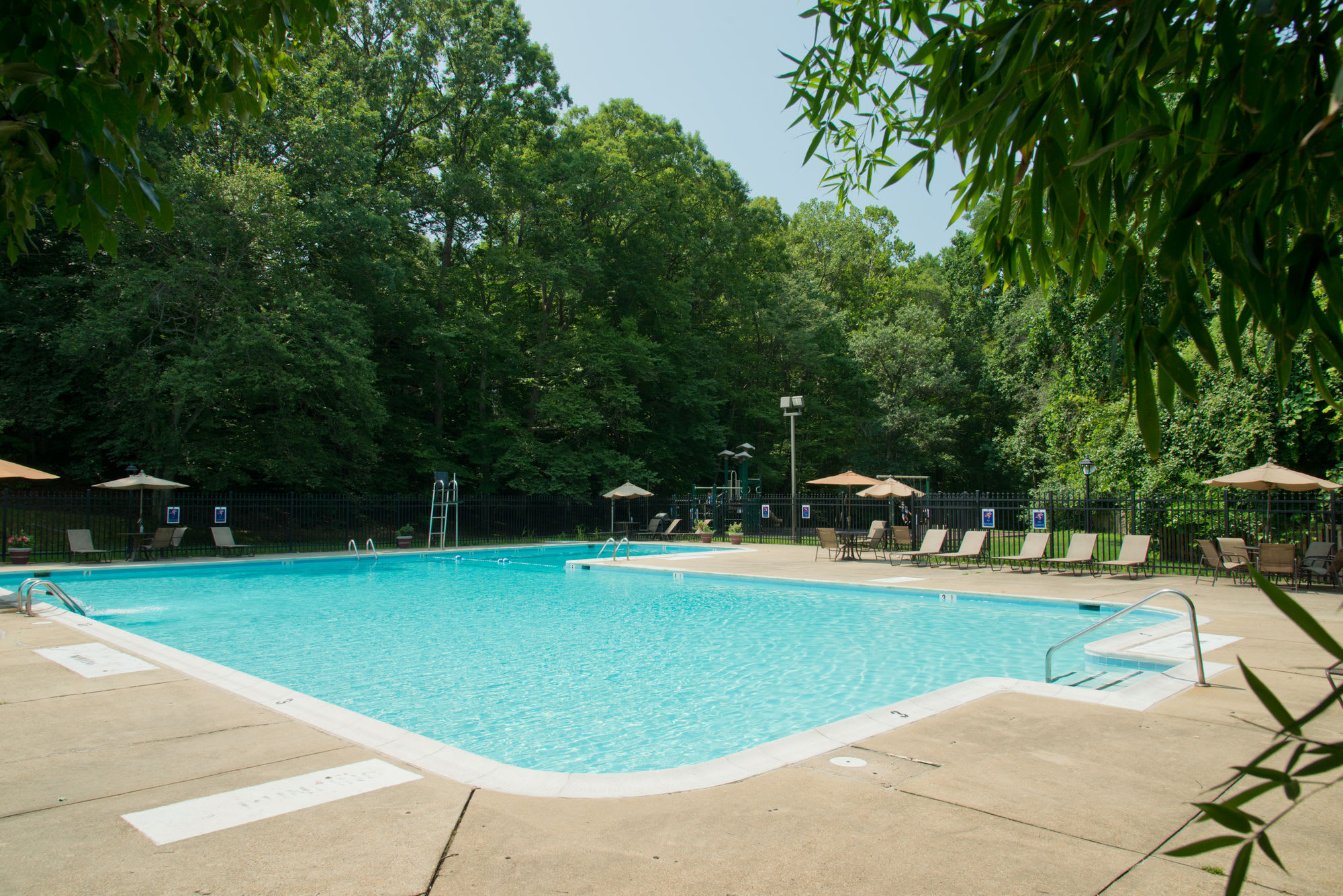 Crystal Woods – photo 1