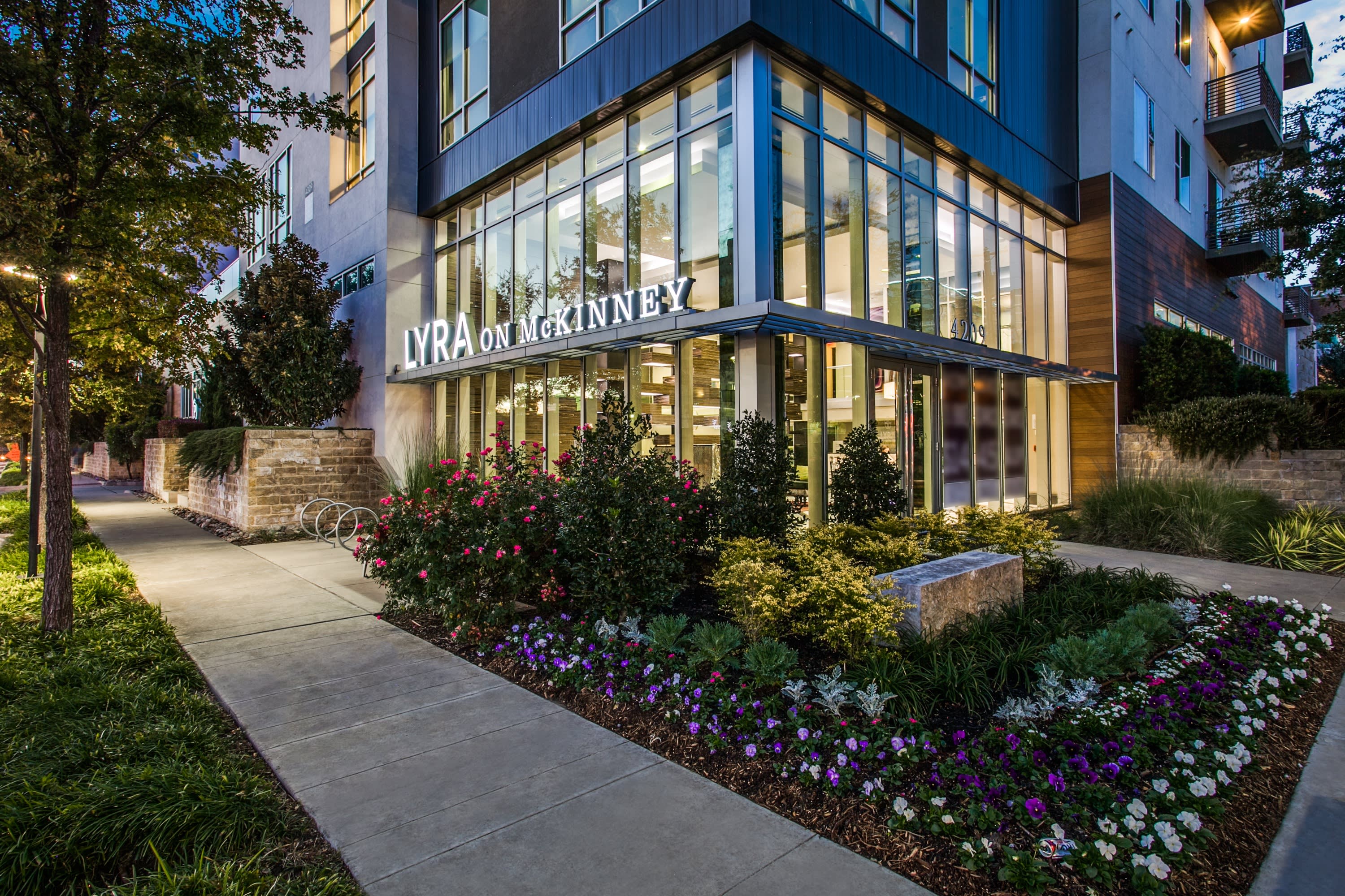 Lyra on McKinney – photo 2