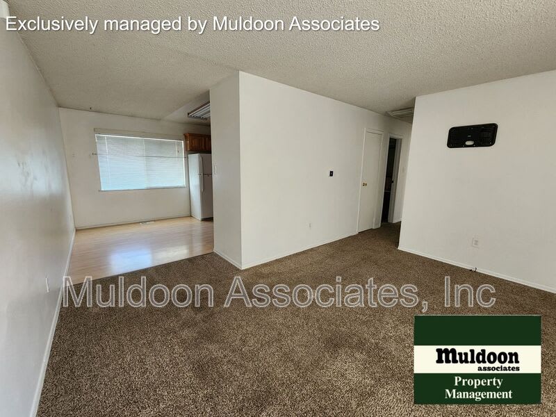 37 Massari Rd – photo 3
