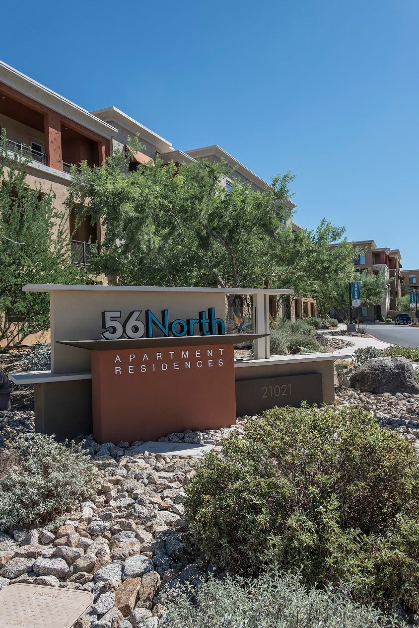 56 North – photo 3