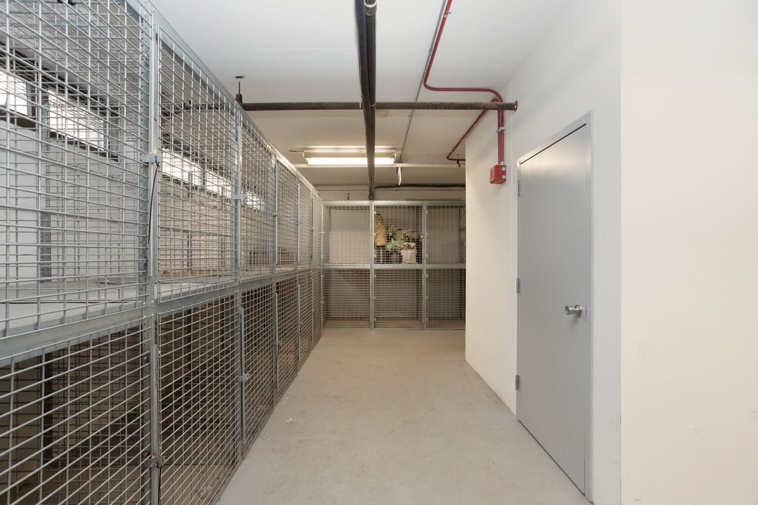 Algonquin Apartments – photo 5