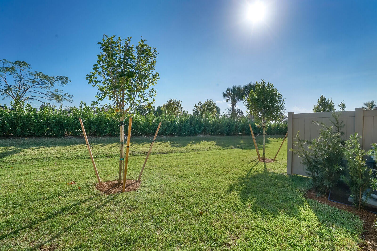 8656 Escue Street – photo 2