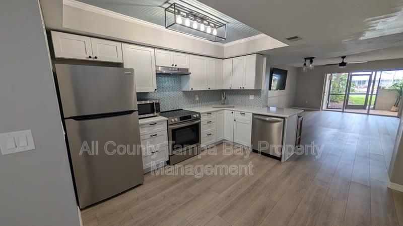 1028 Apollo Beach Blvd – photo 4