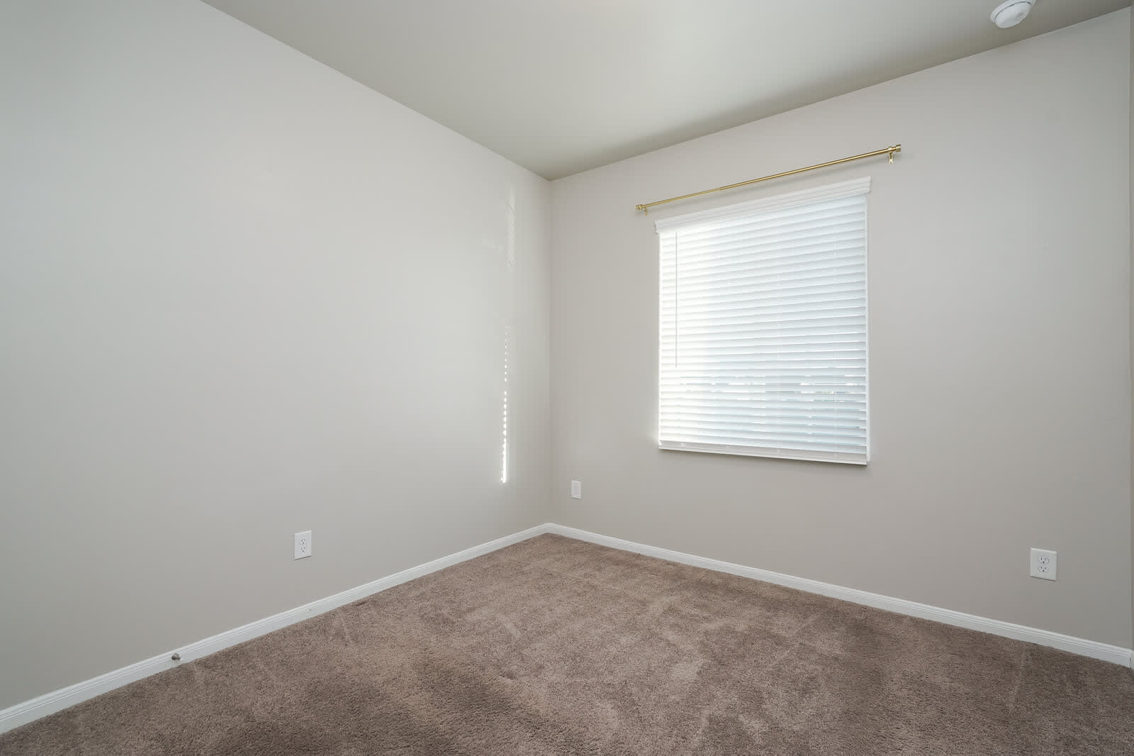 3915 Ivy Path – photo 2