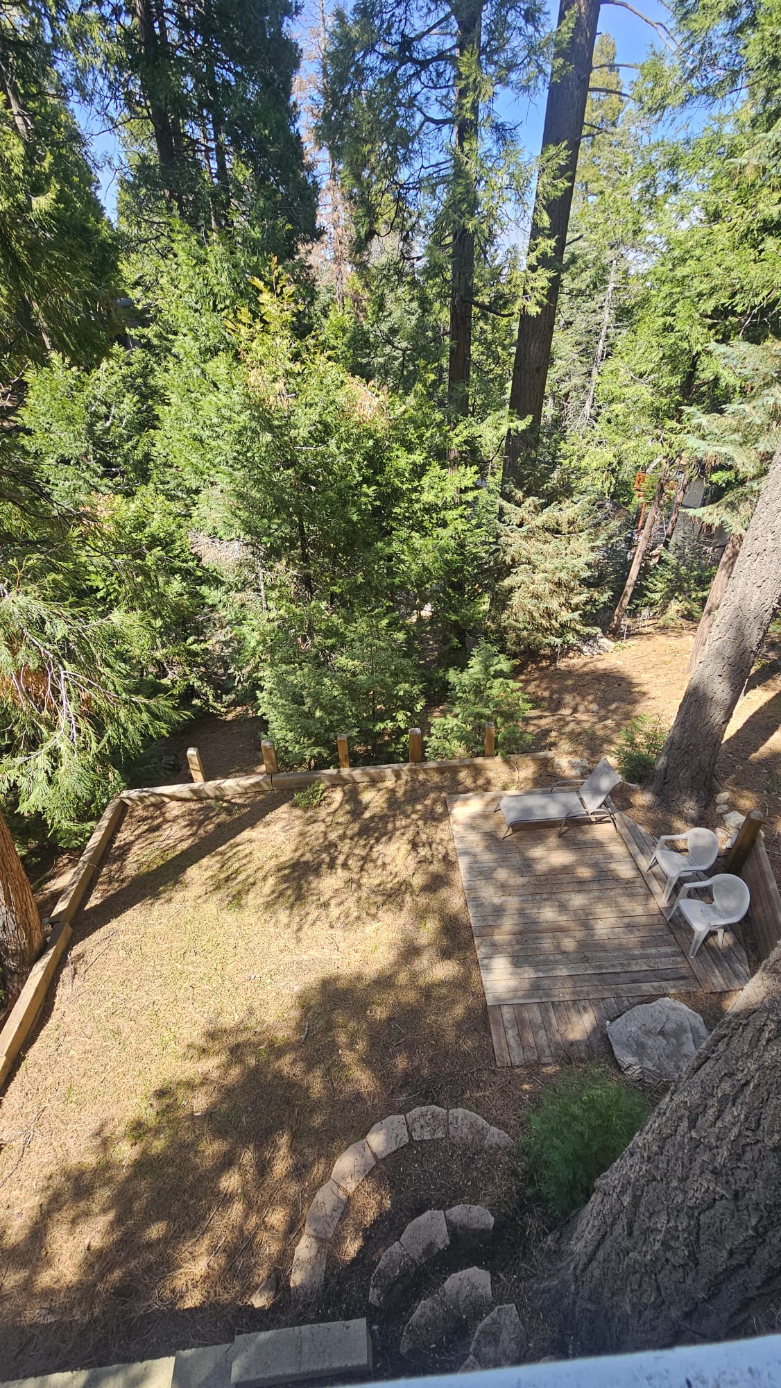 536 Rose Lane – photo 1