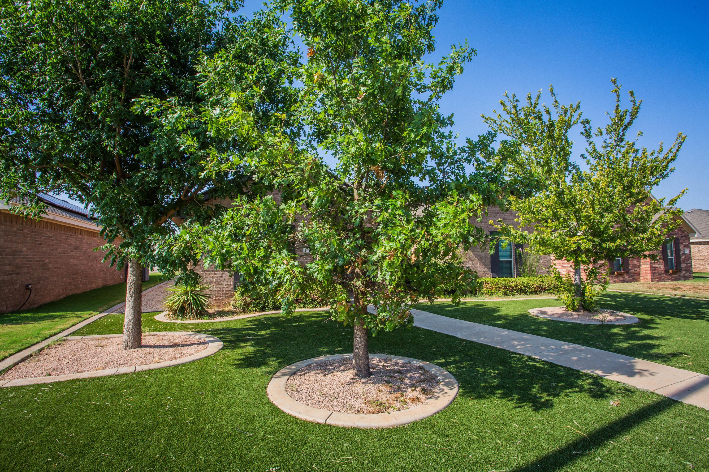 5232 Harvard Street – photo 3
