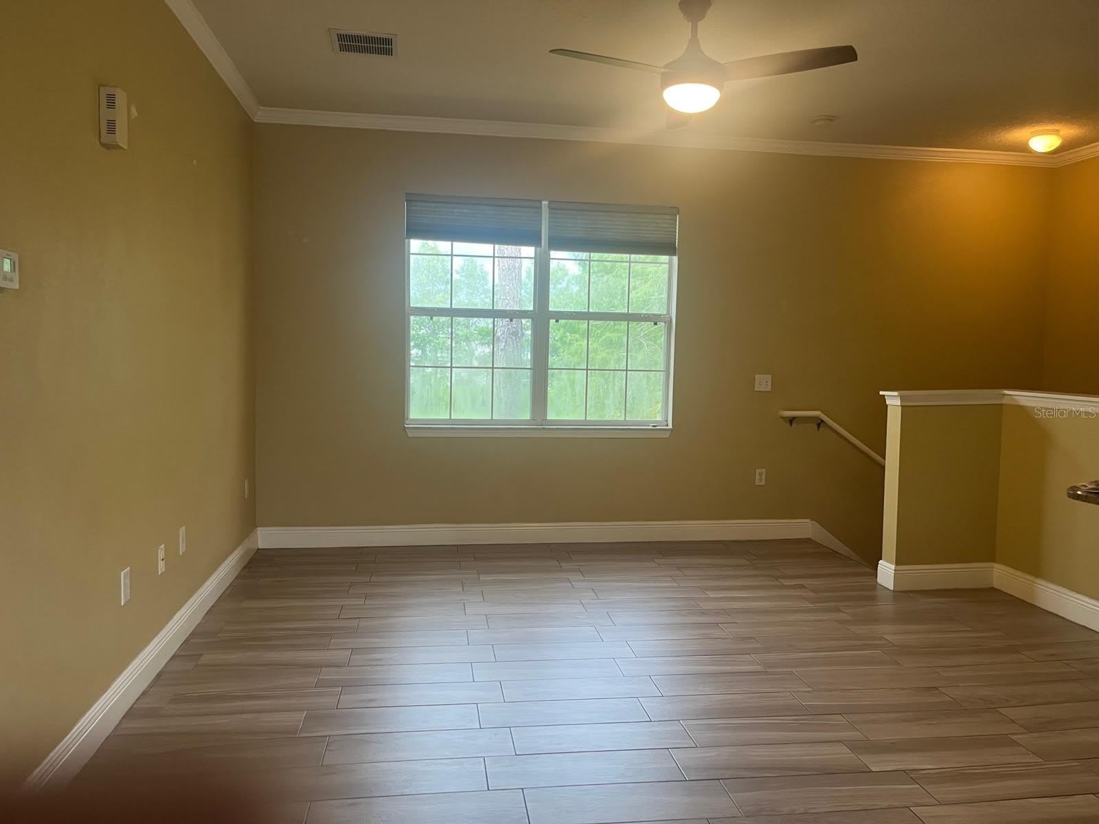 341 SOUTHERN PECAN Circle – photo 5