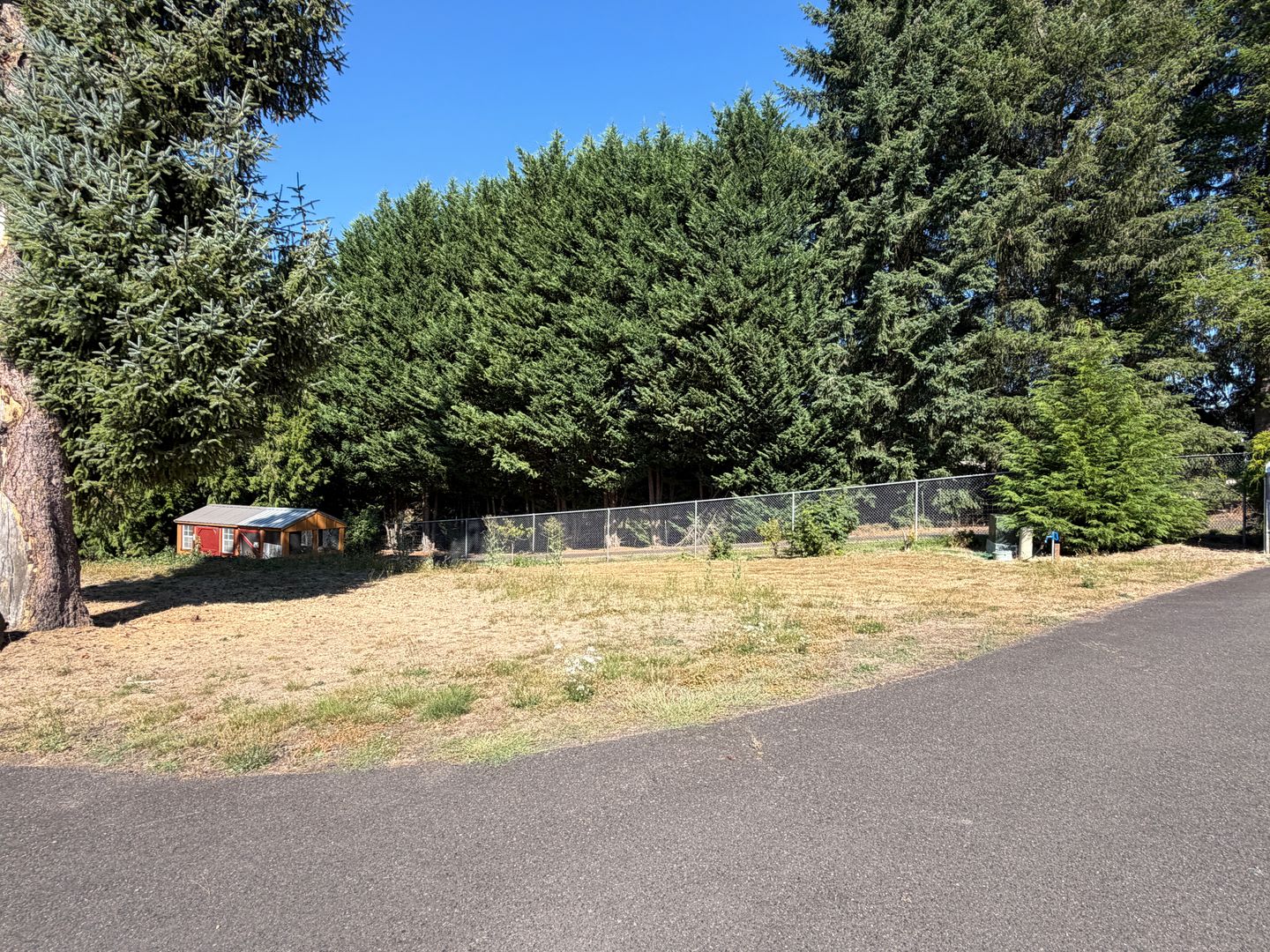COMING SOON! Beautiful Gated 2.93 Acreage setting-Country Living, EZ access to 1-5 – photo 5