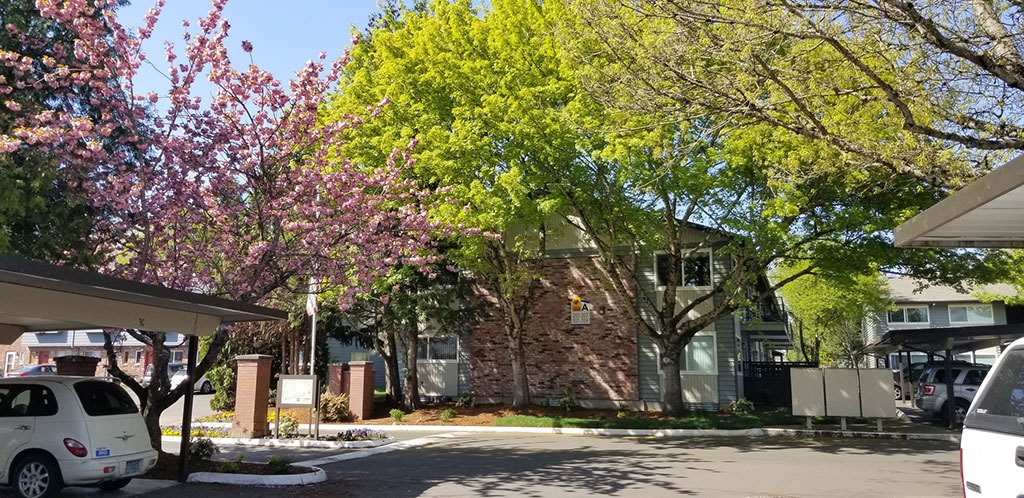 Royal Greens Apartments – photo 3