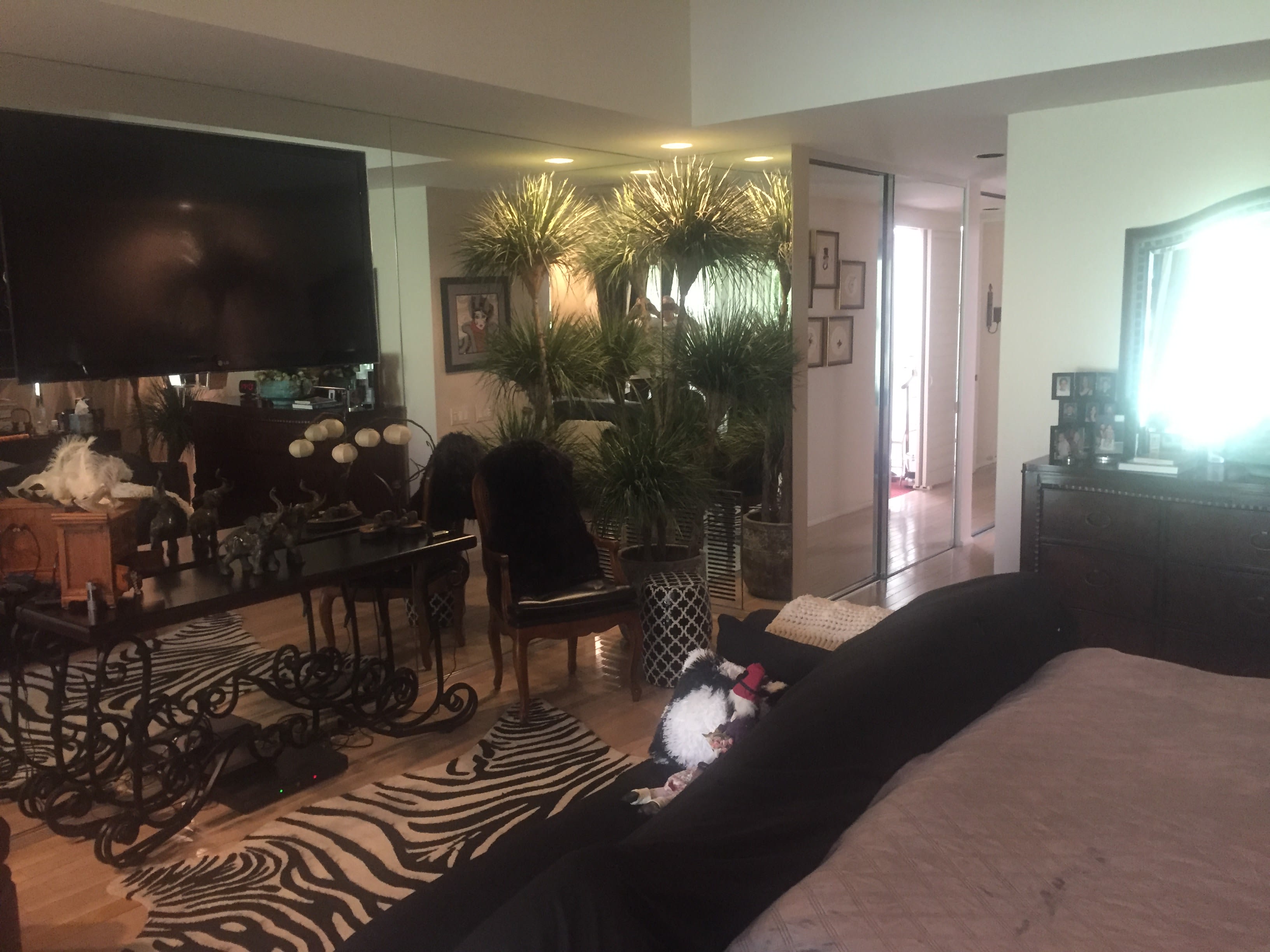 23 Duke Drive – photo 5