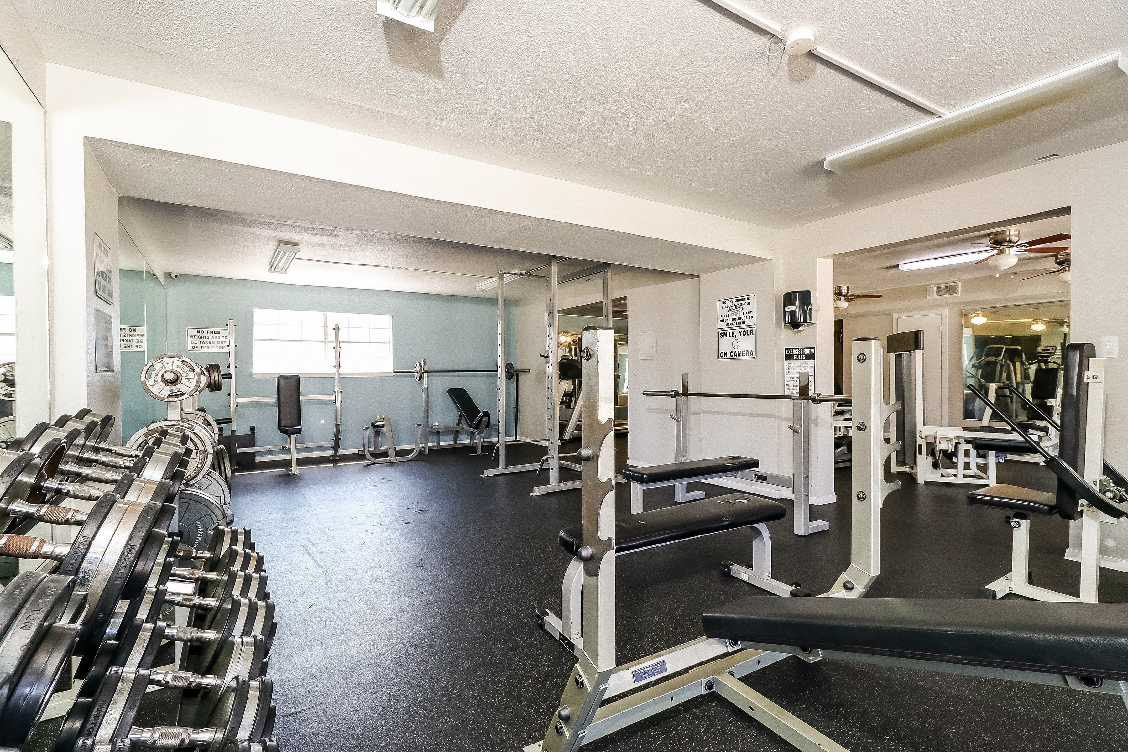 3909 Shellrock Drive – photo 4
