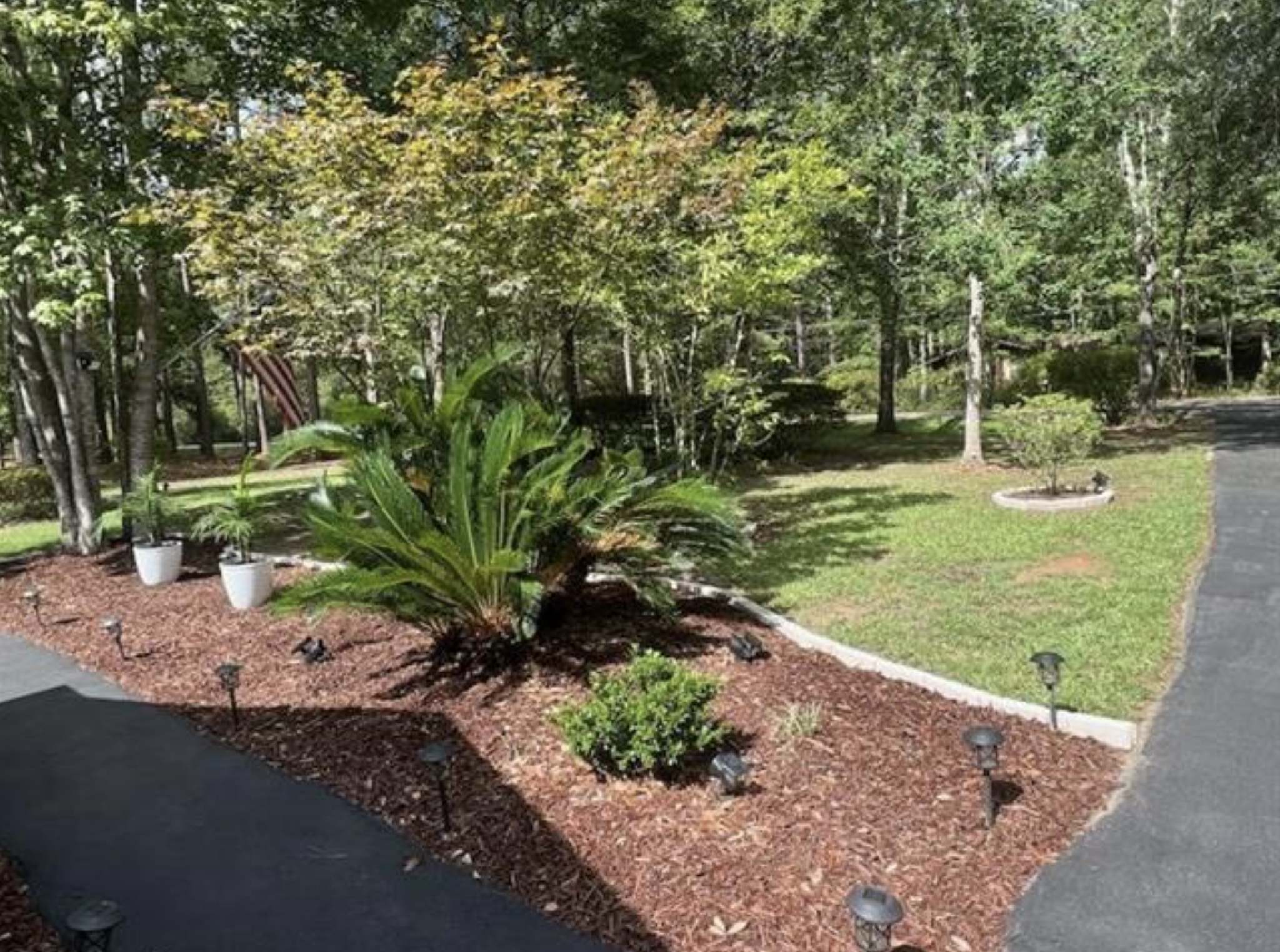 104 Big Pine Drive – photo 5