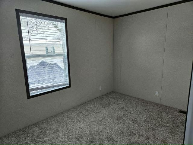 11212 4Th St Ne – photo 4