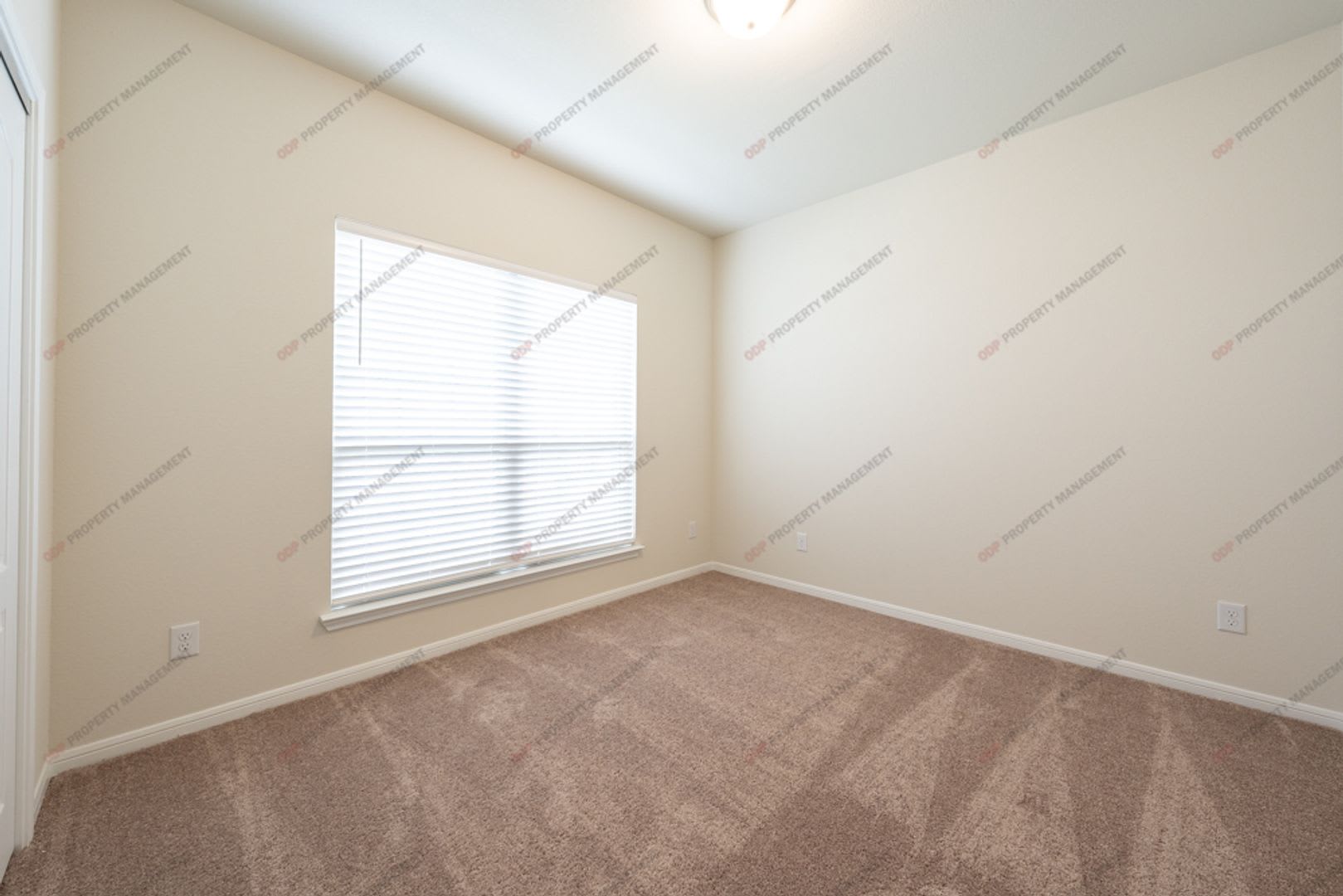 Large Home – photo 4