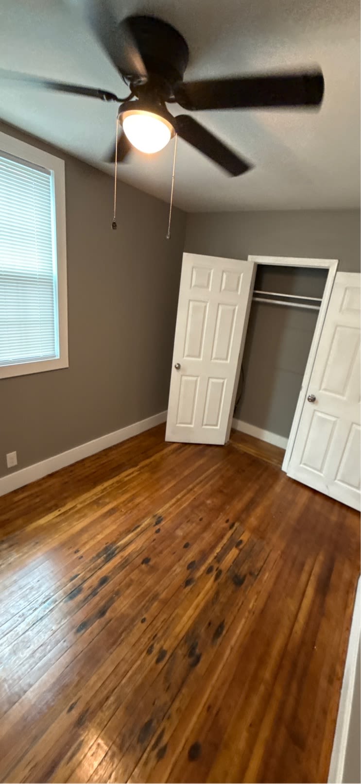 407 Cedar Street – photo 5